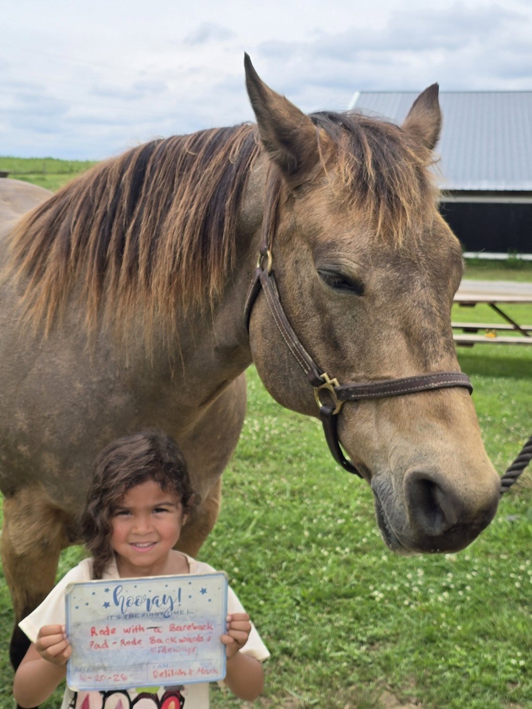 A rider beside a chestnut horse holding a 'first riding lesson' card.